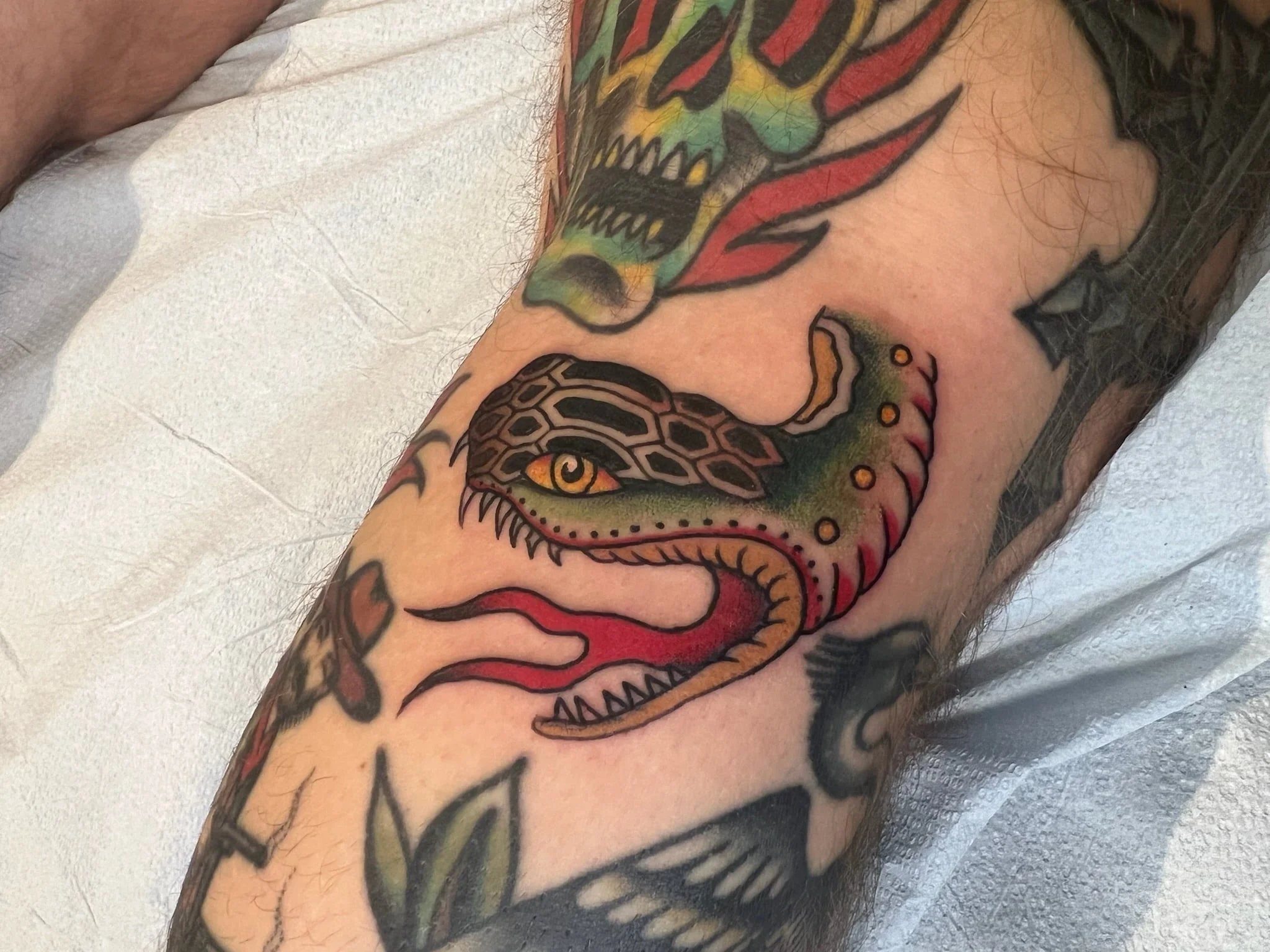 traditional-dietzel-snake-head-tattoo-chicago-great-lakes-tattoo.jpg