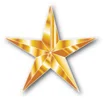 GoldStarforweb.jpg