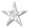 SilverStarforweb.jpg