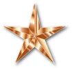 BronzeStarforweb.jpg