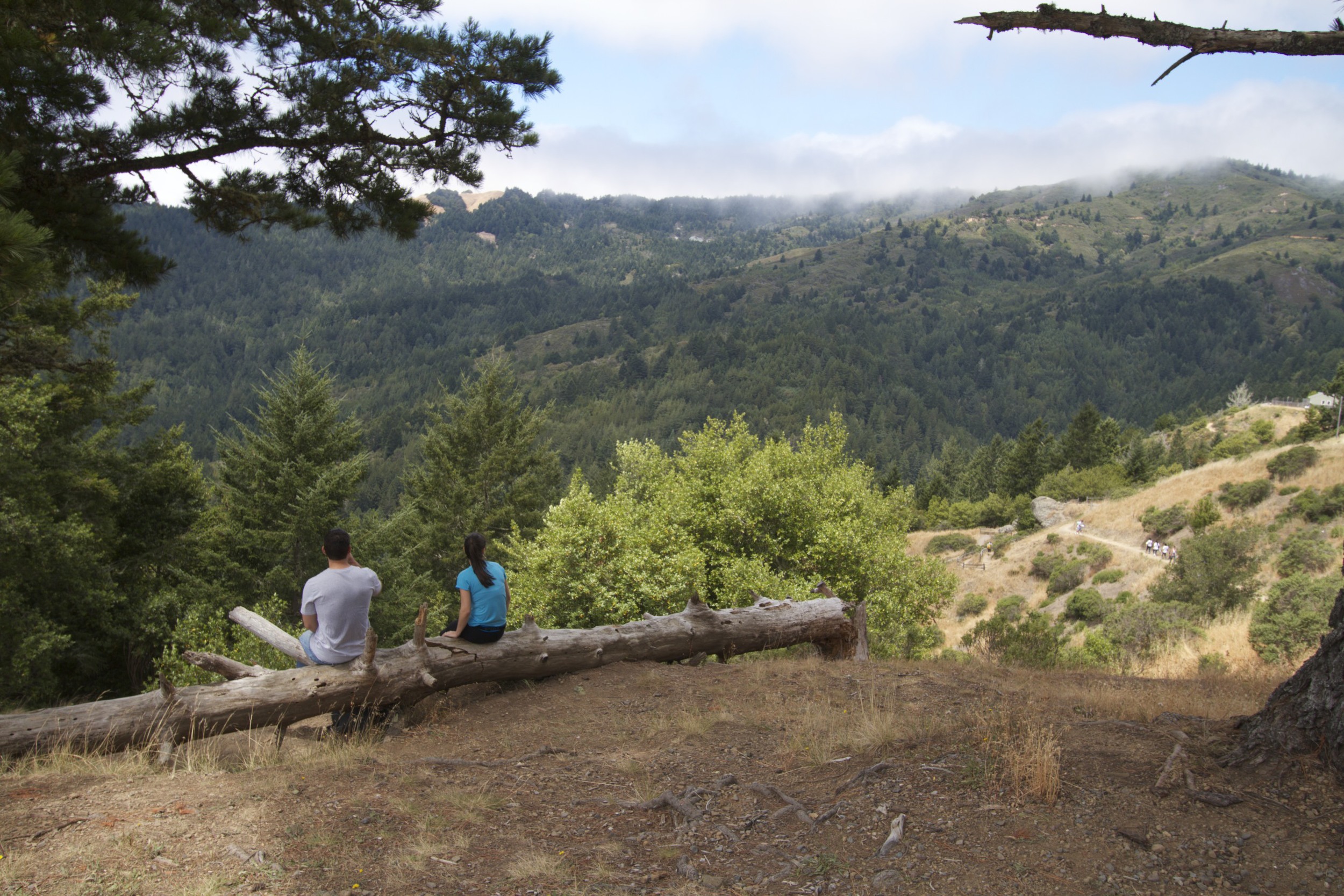 looking west from edgewood3.jpg