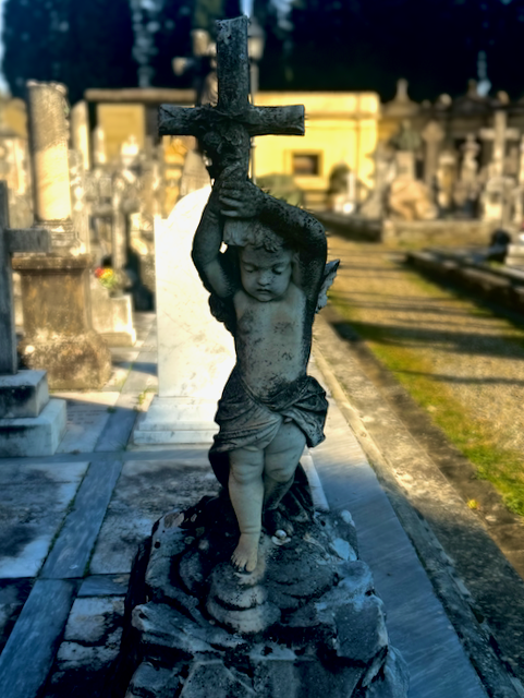 IMG_1667.png