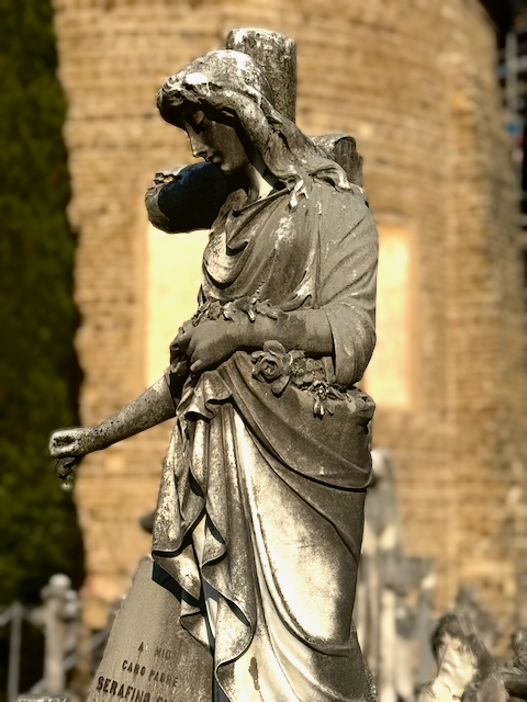 IMG_1671.png