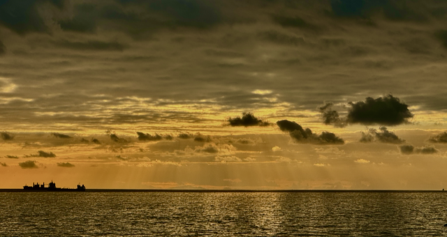 IMG_1185.png