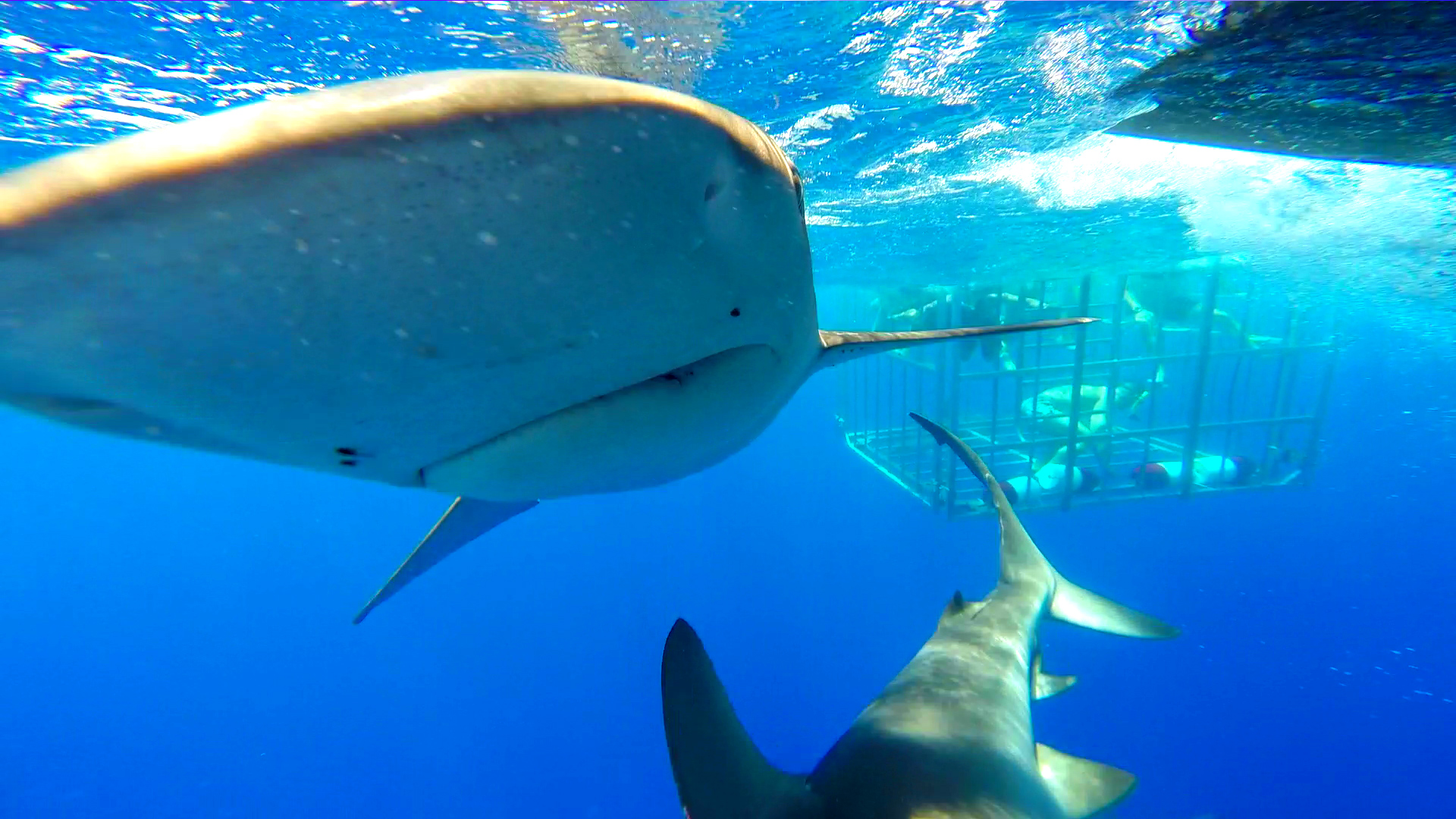 BucketList Adventure Tour OptionsGodspeed Adventures