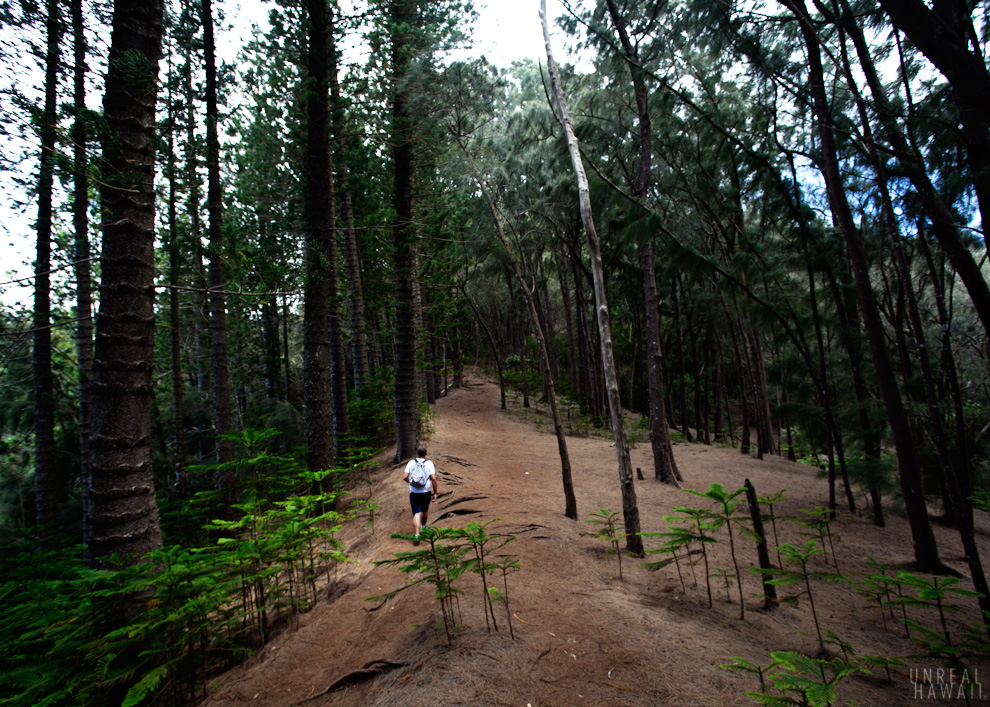 Kuliouou Ridge Trail 4.jpg