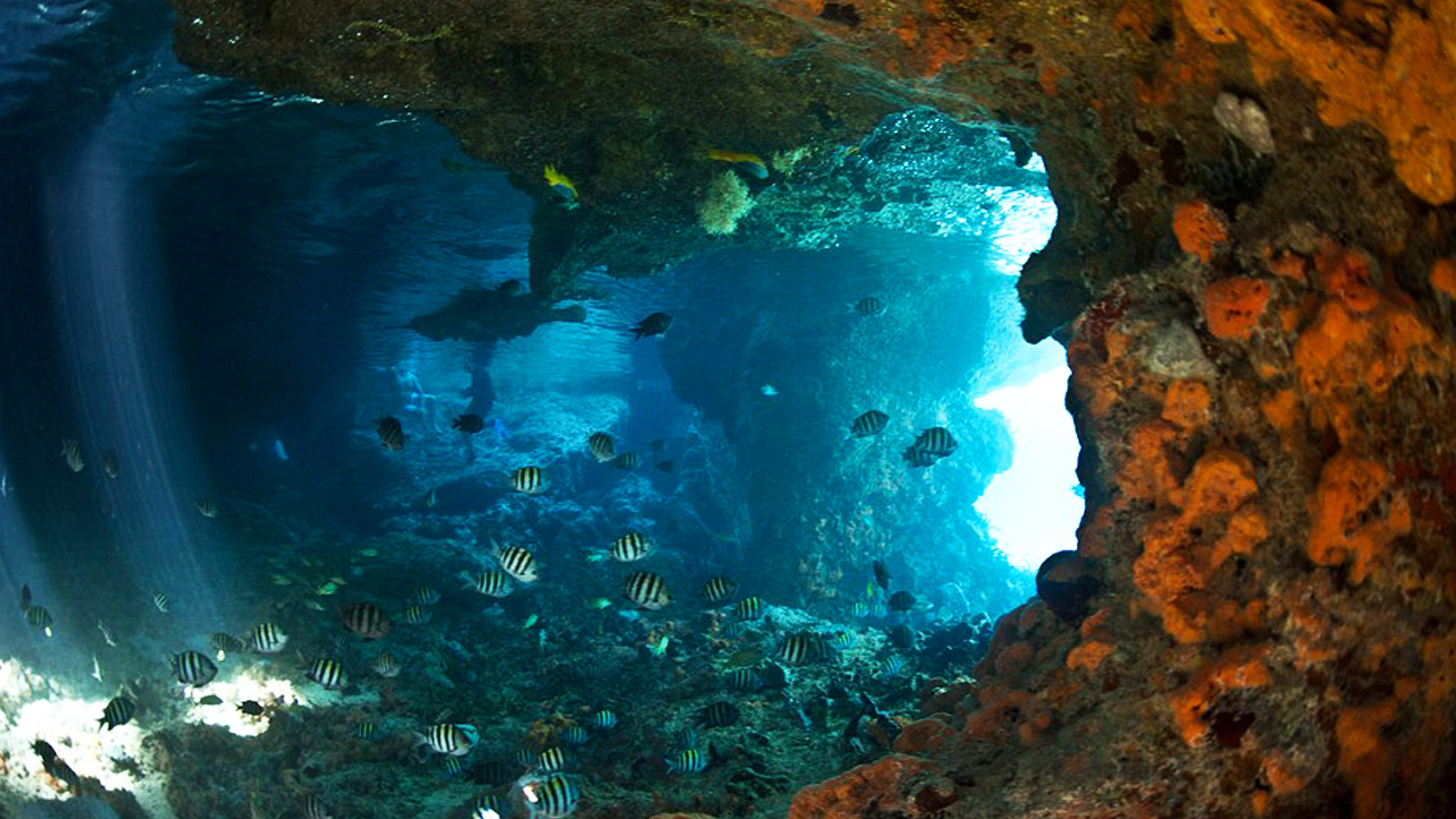 cave 5.jpg