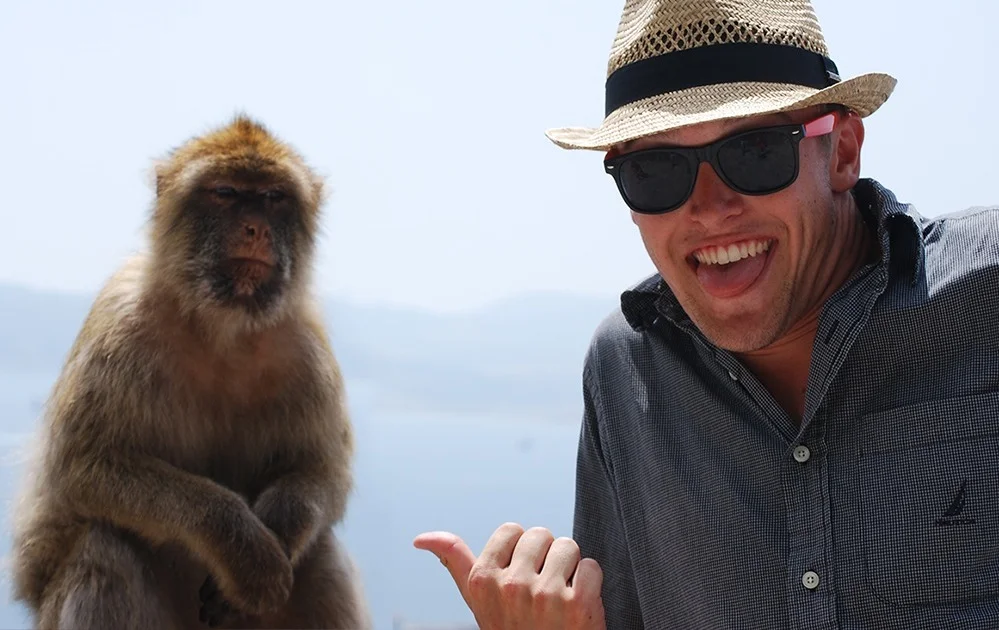 monkey.jpg