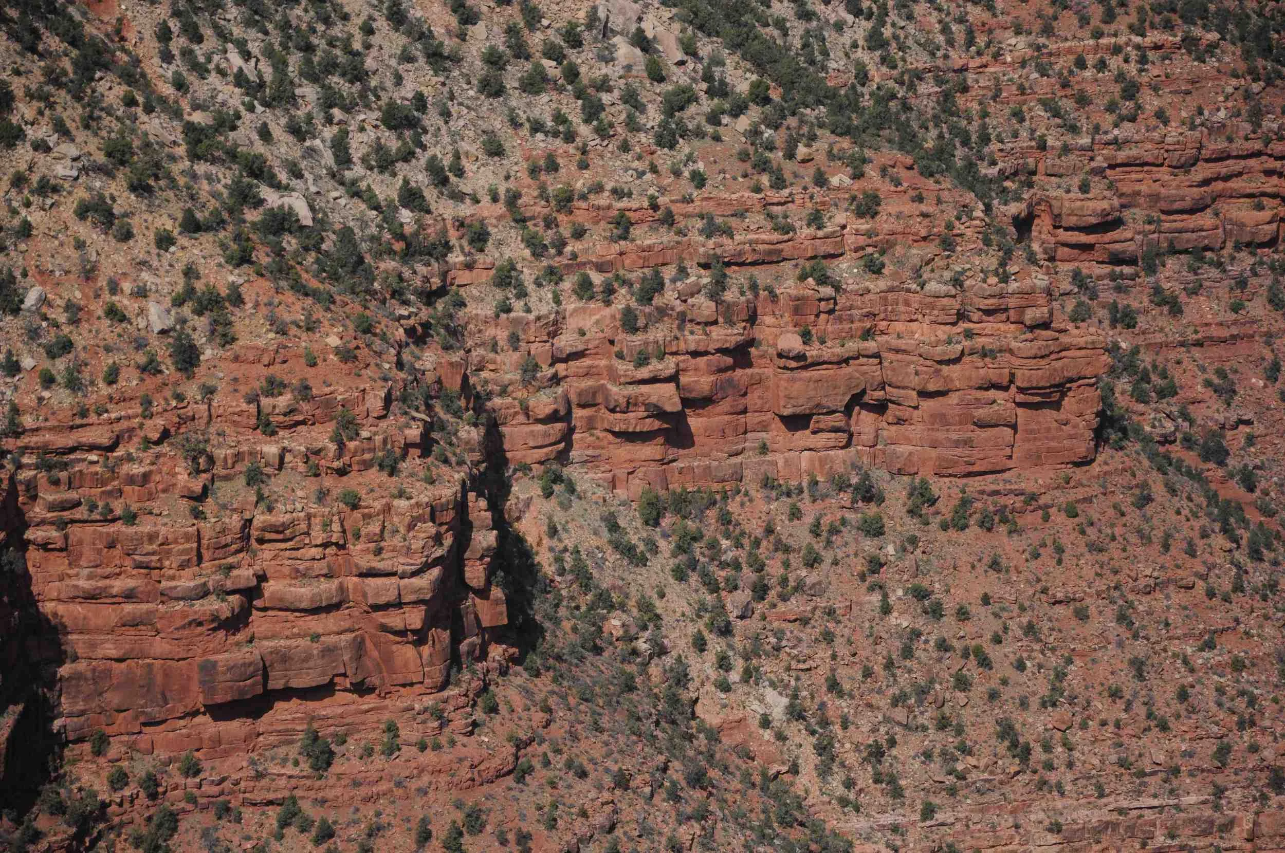 DSC_0952.jpg