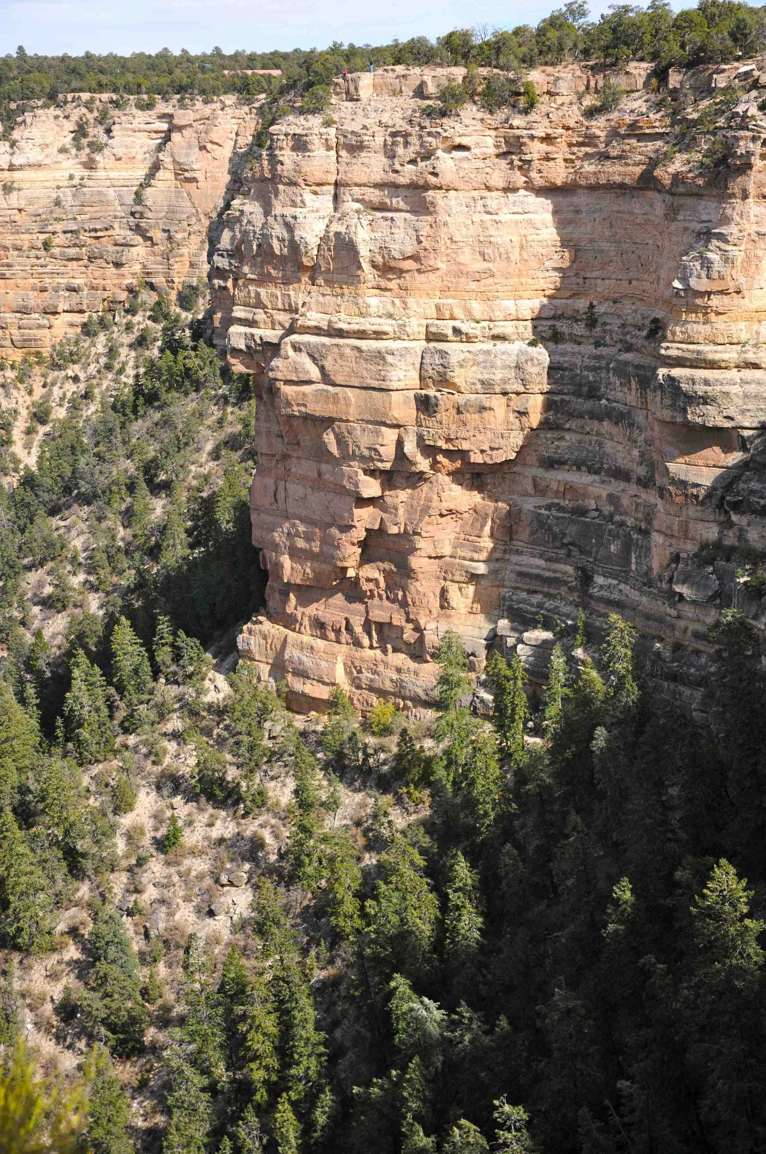 DSC_0974.jpg