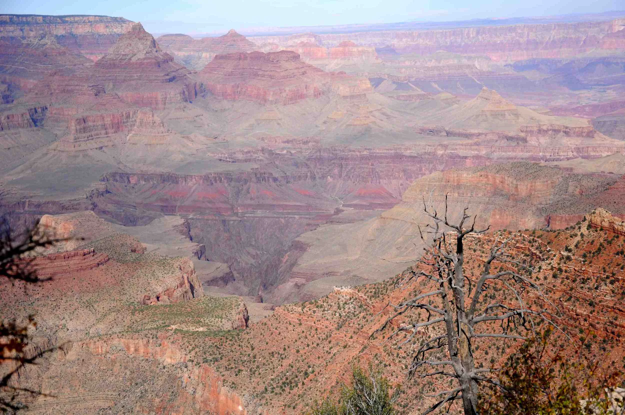 DSC_1008.jpg