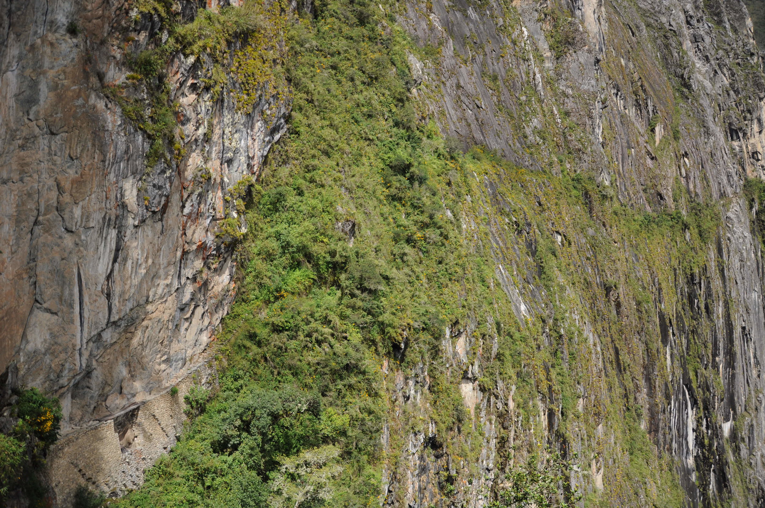 Inca built bridge