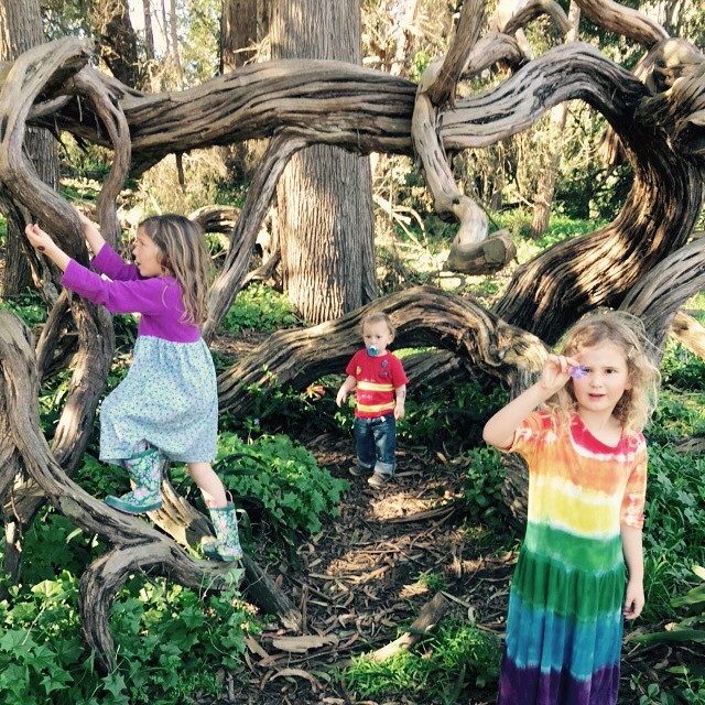 Golden gate park by amystanden