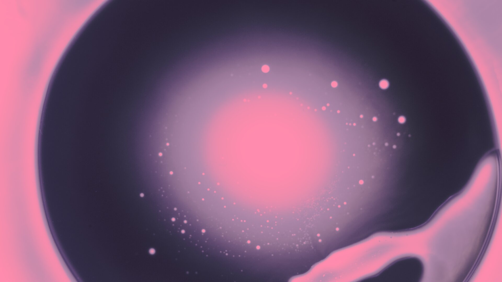 Christopher A Hoffman