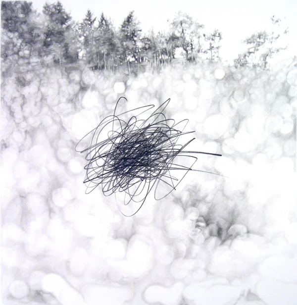 Landscape with Gesture 2006 graphite on paper 19" x 19" | Private Collection 