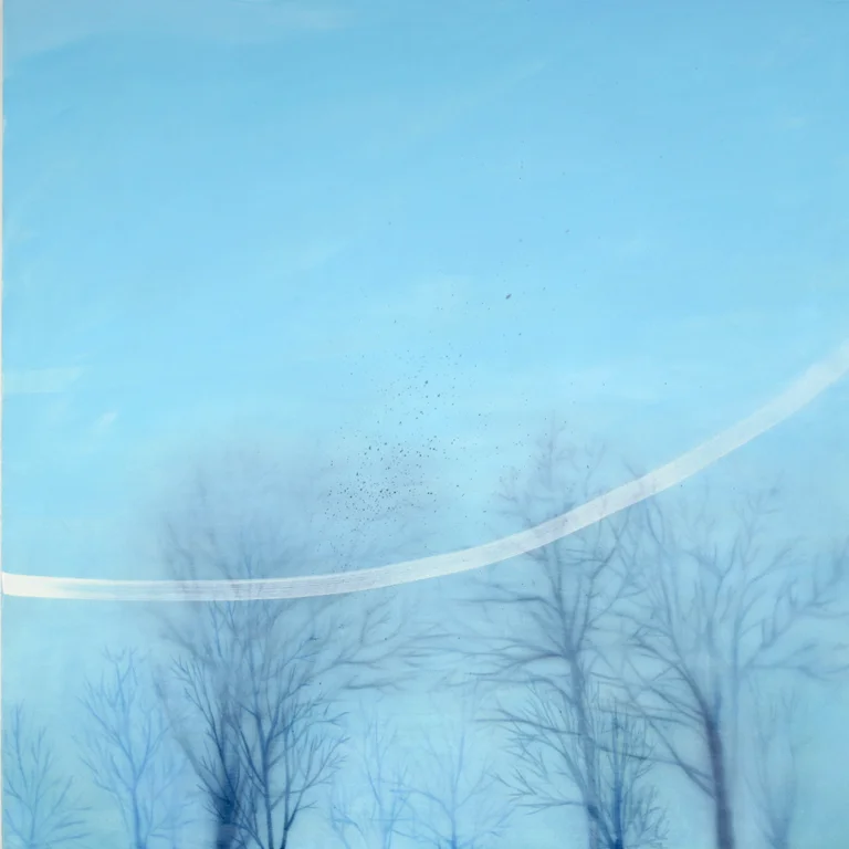 Flock 2008 oil on canvas 40" x 40" | Private Collection