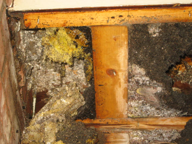 Poisoned beehive -003.jpg