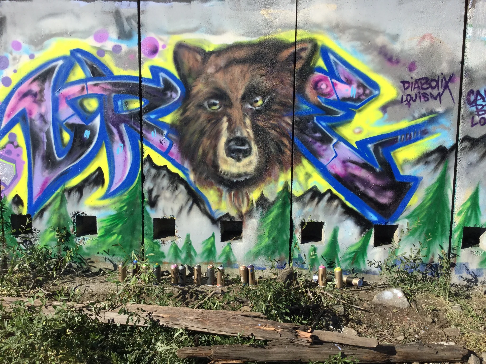 Donner Bear