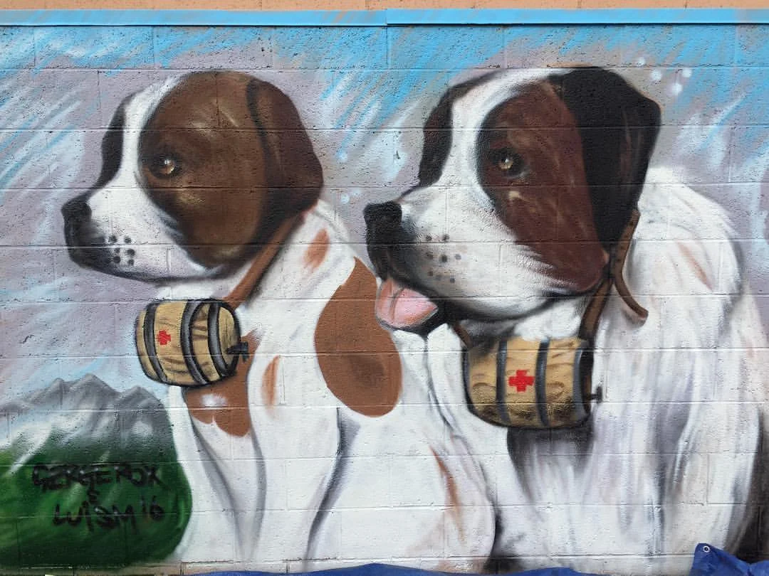 St Bernards