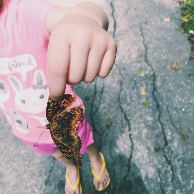 My tiny entomologist.