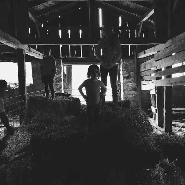 Best part of hay delivery day. Especially when it's pouring rain outside the barn.