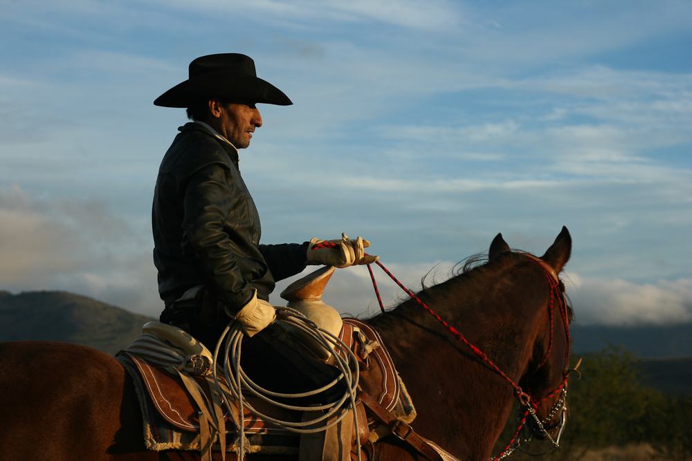 El Vaquero
