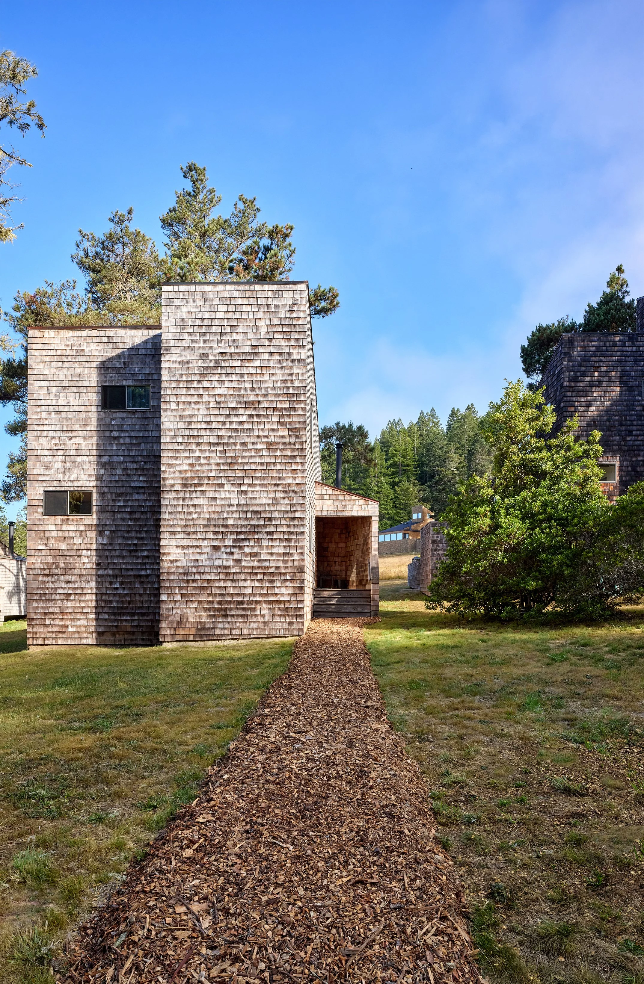 Fir Wood - 654_2.jpg