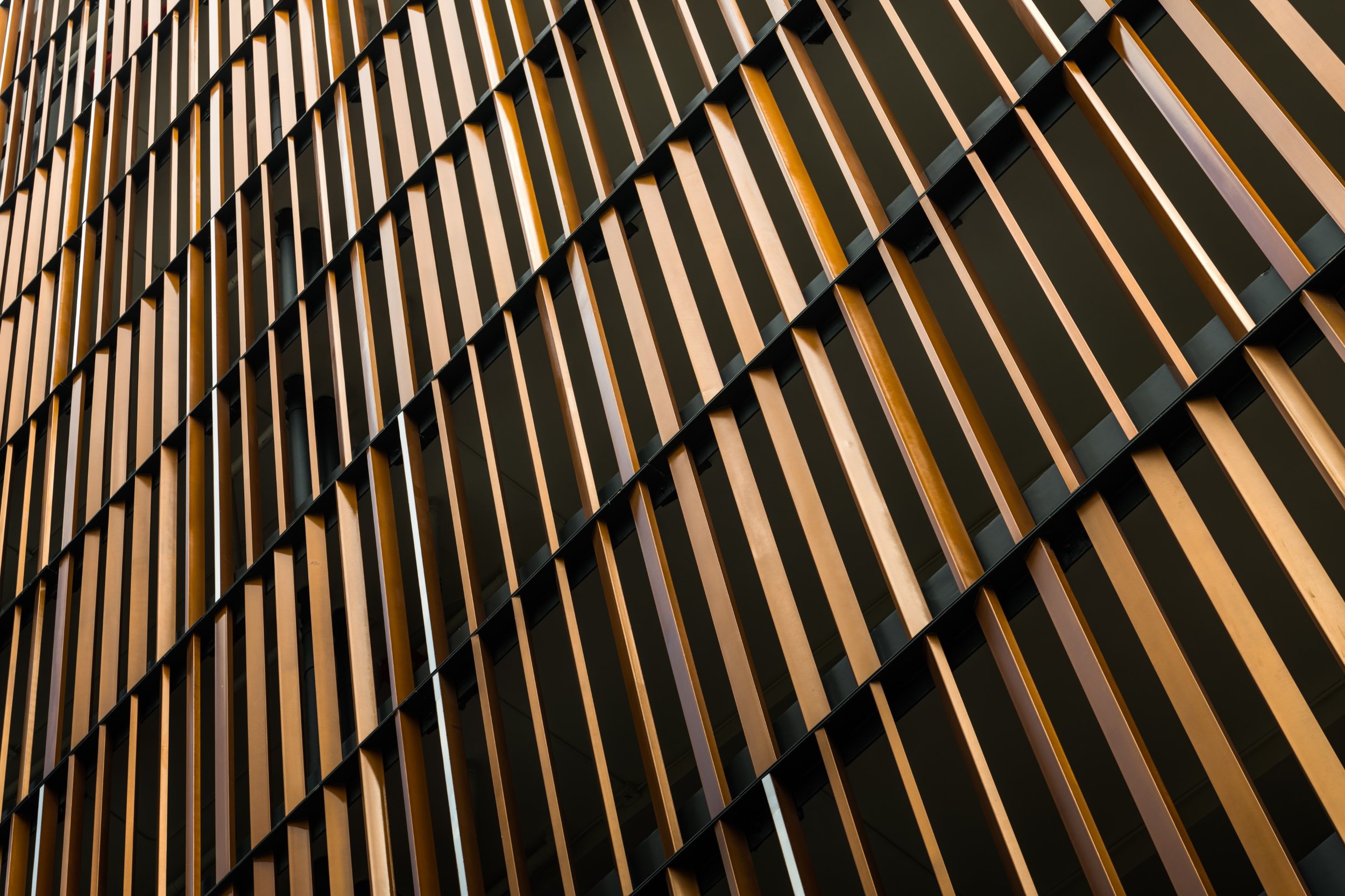 YMX_0008 (Mid-res).jpg