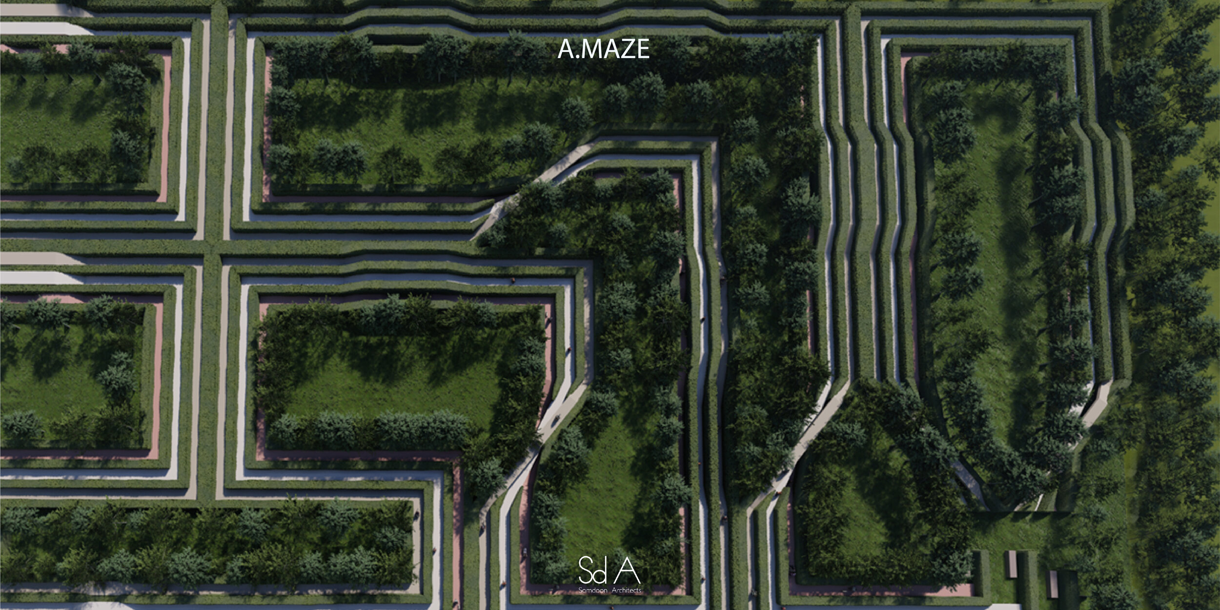 A.Maze