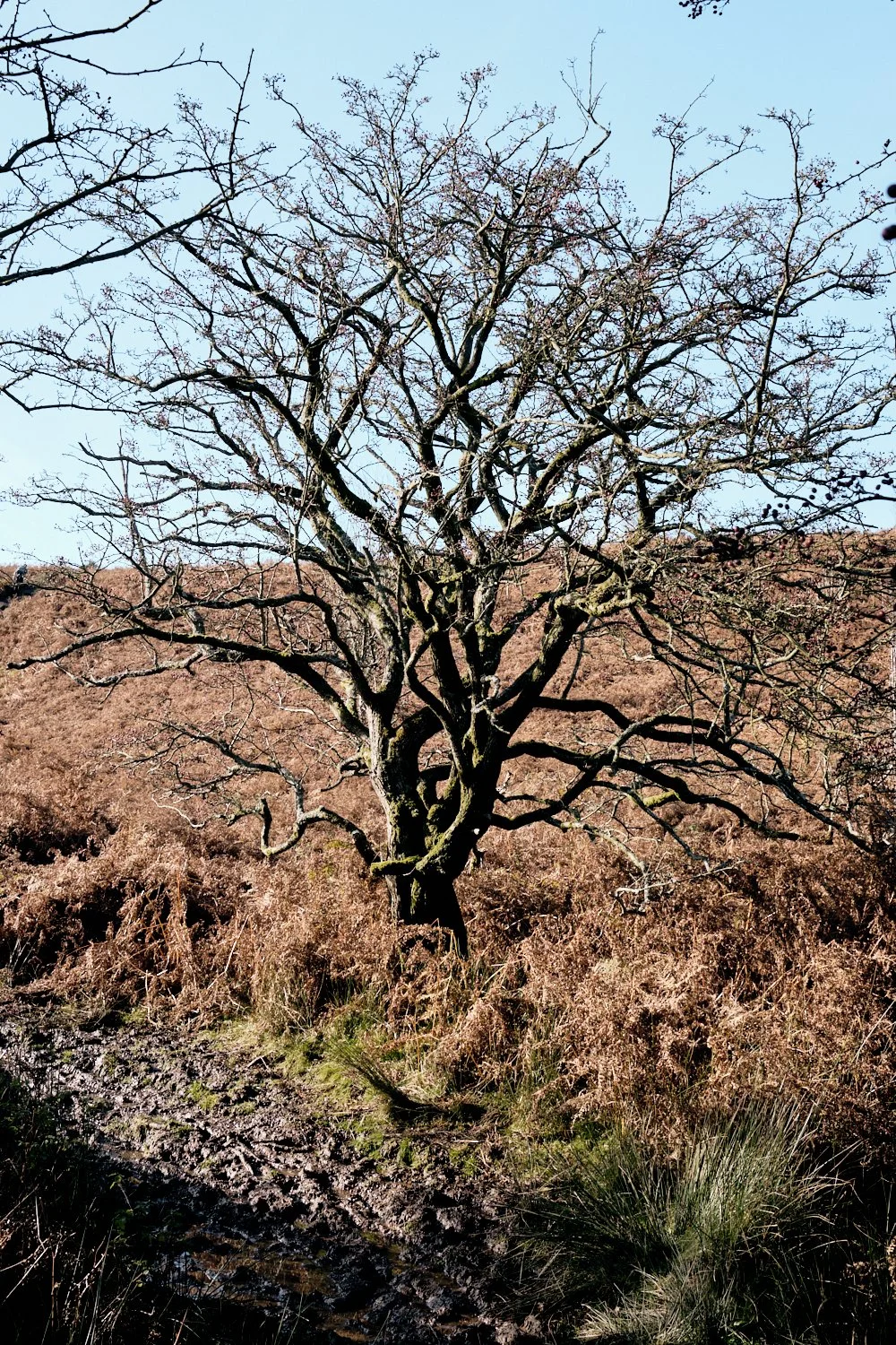 Mountains-of-Abergavenny_Photo-Matthew-Pull_2.jpg