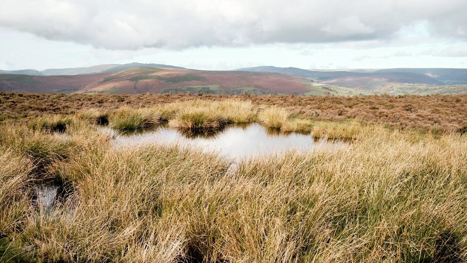 Mountains-of-Abergavenny_Photo-Matthew-Pull_23.jpg