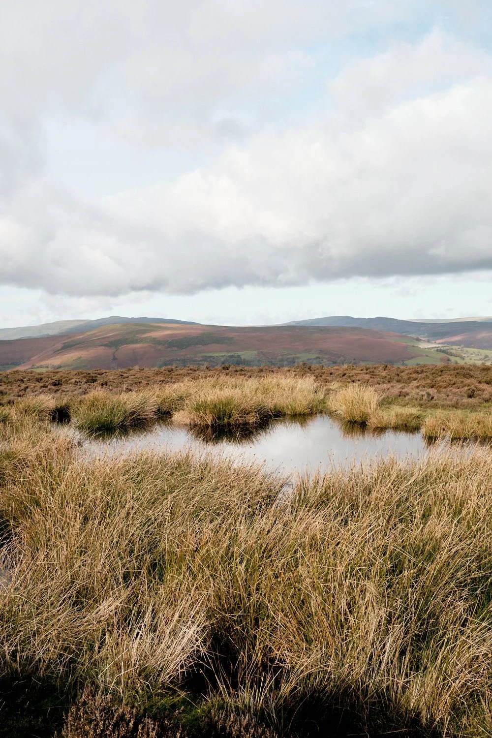 Mountains-of-Abergavenny_Photo-Matthew-Pull_24.jpg