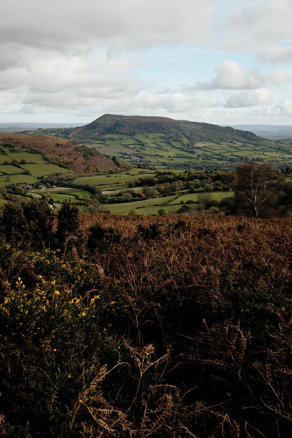 Mountains-of-Abergavenny_Photo-Matthew-Pull_26.jpg