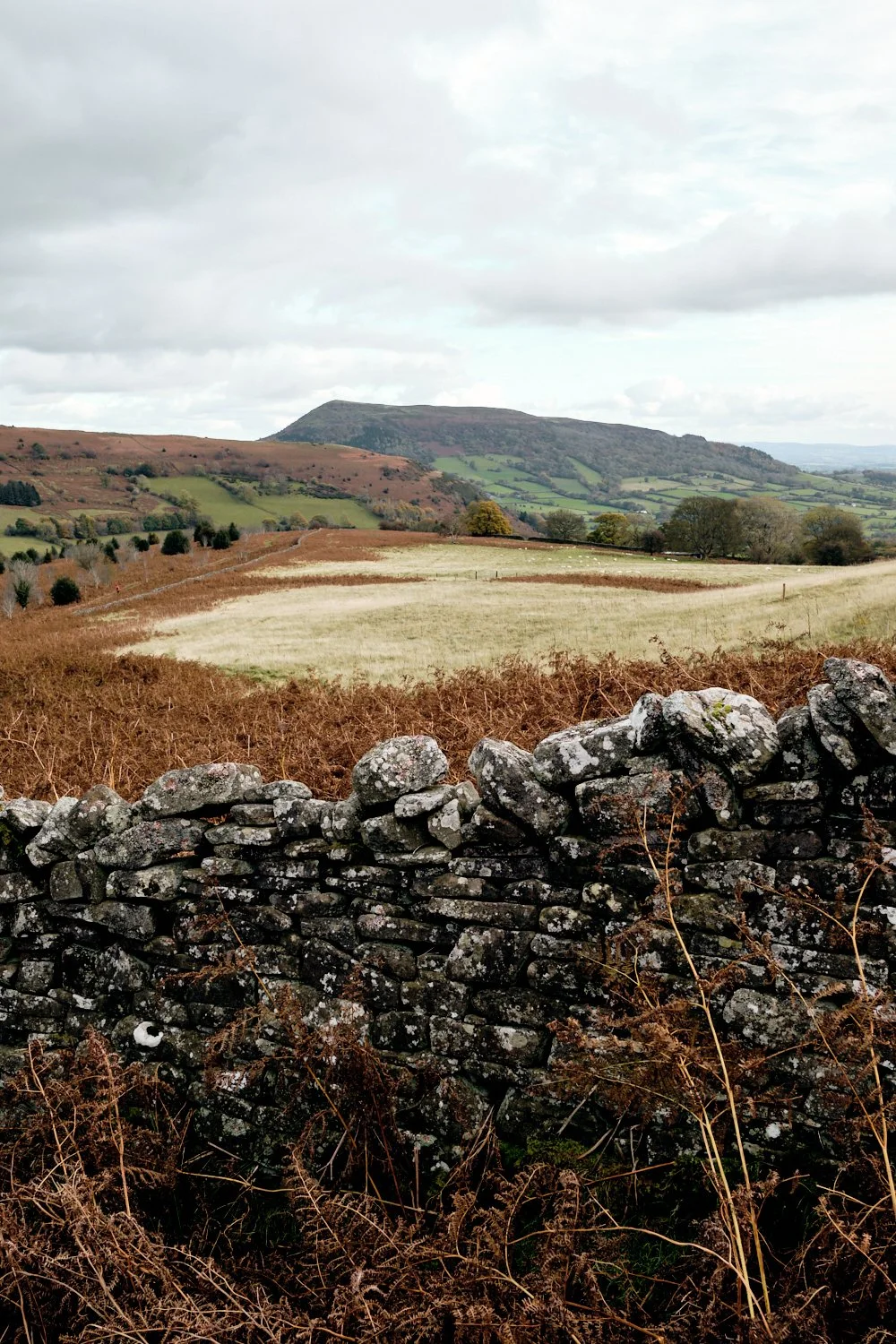 Mountains-of-Abergavenny_Photo-Matthew-Pull_30.jpg
