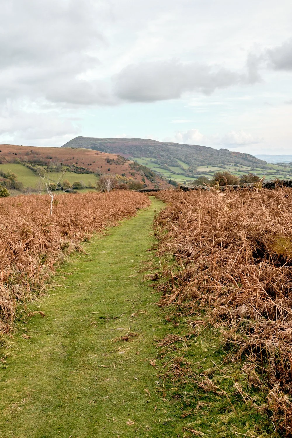 Mountains-of-Abergavenny_Photo-Matthew-Pull_33.jpg