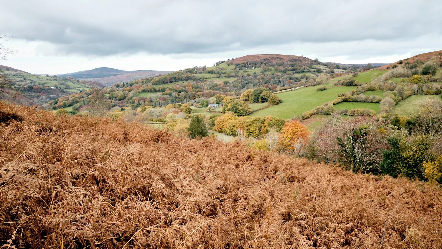 Mountains-of-Abergavenny_Photo-Matthew-Pull_34.jpg