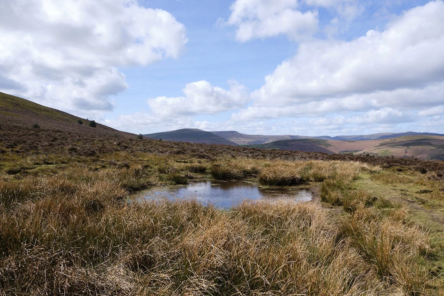 Mountains-of-Abergavenny-April-2026-008.jpg
