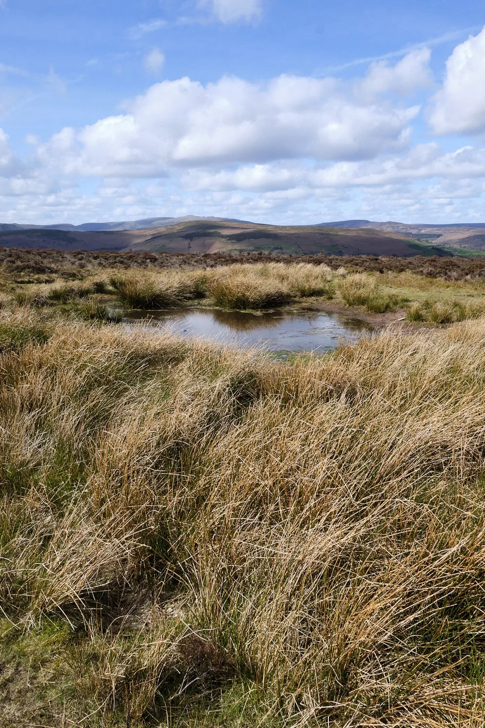 Mountains-of-Abergavenny-April-2026-013.jpg