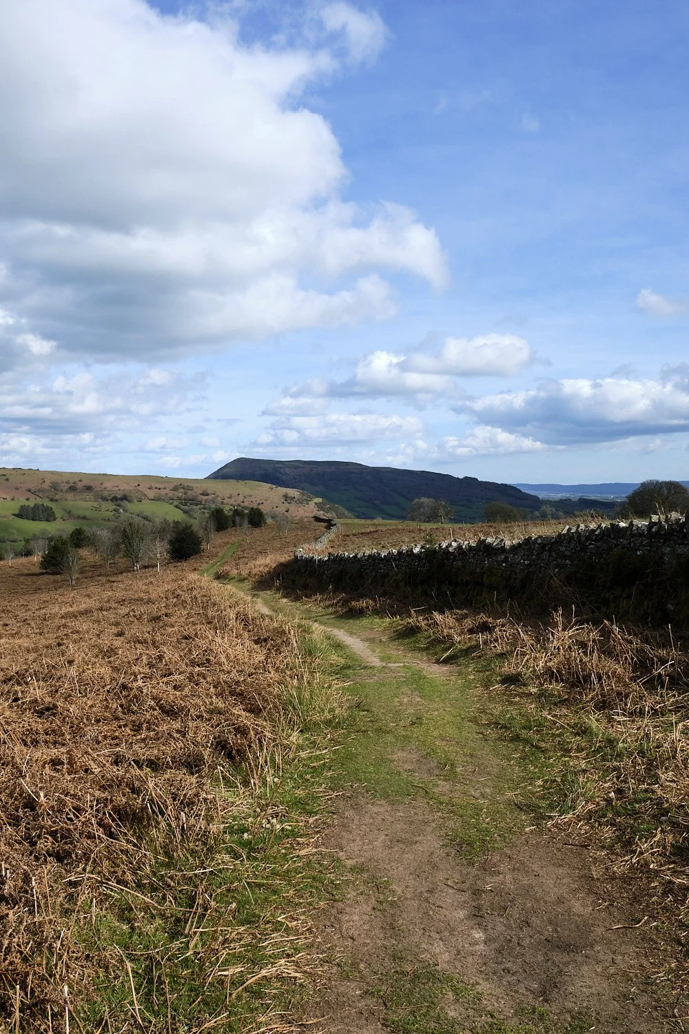 Mountains-of-Abergavenny-April-2026-014.jpg