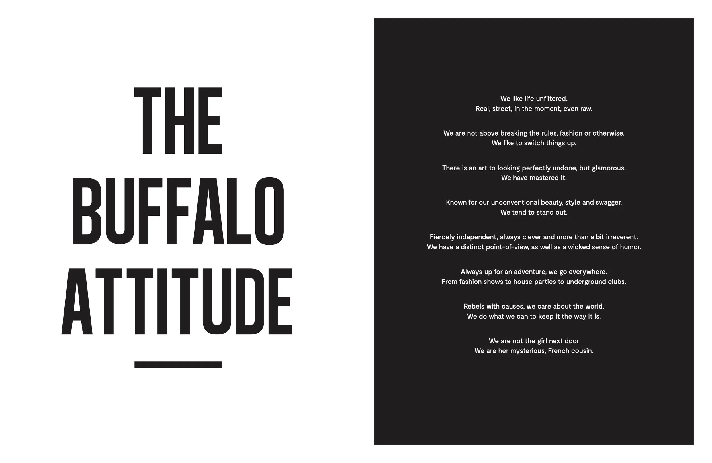 Buffalo Brand Book 3.jpg