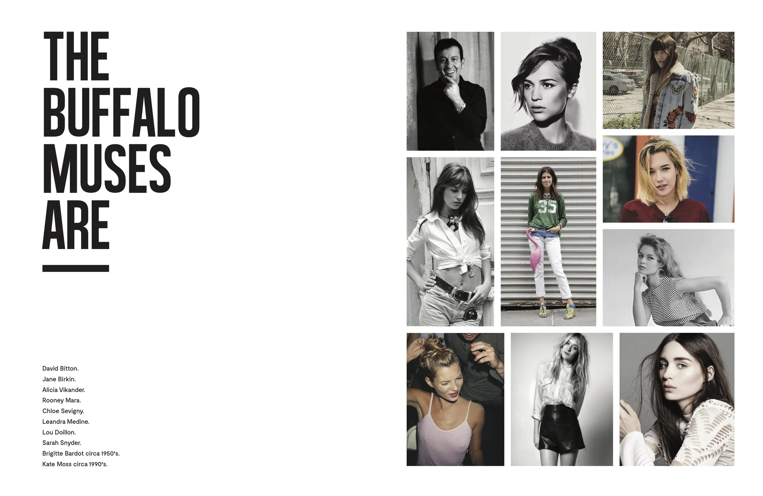 Buffalo Brand Book R4 (dragged) 6.jpg