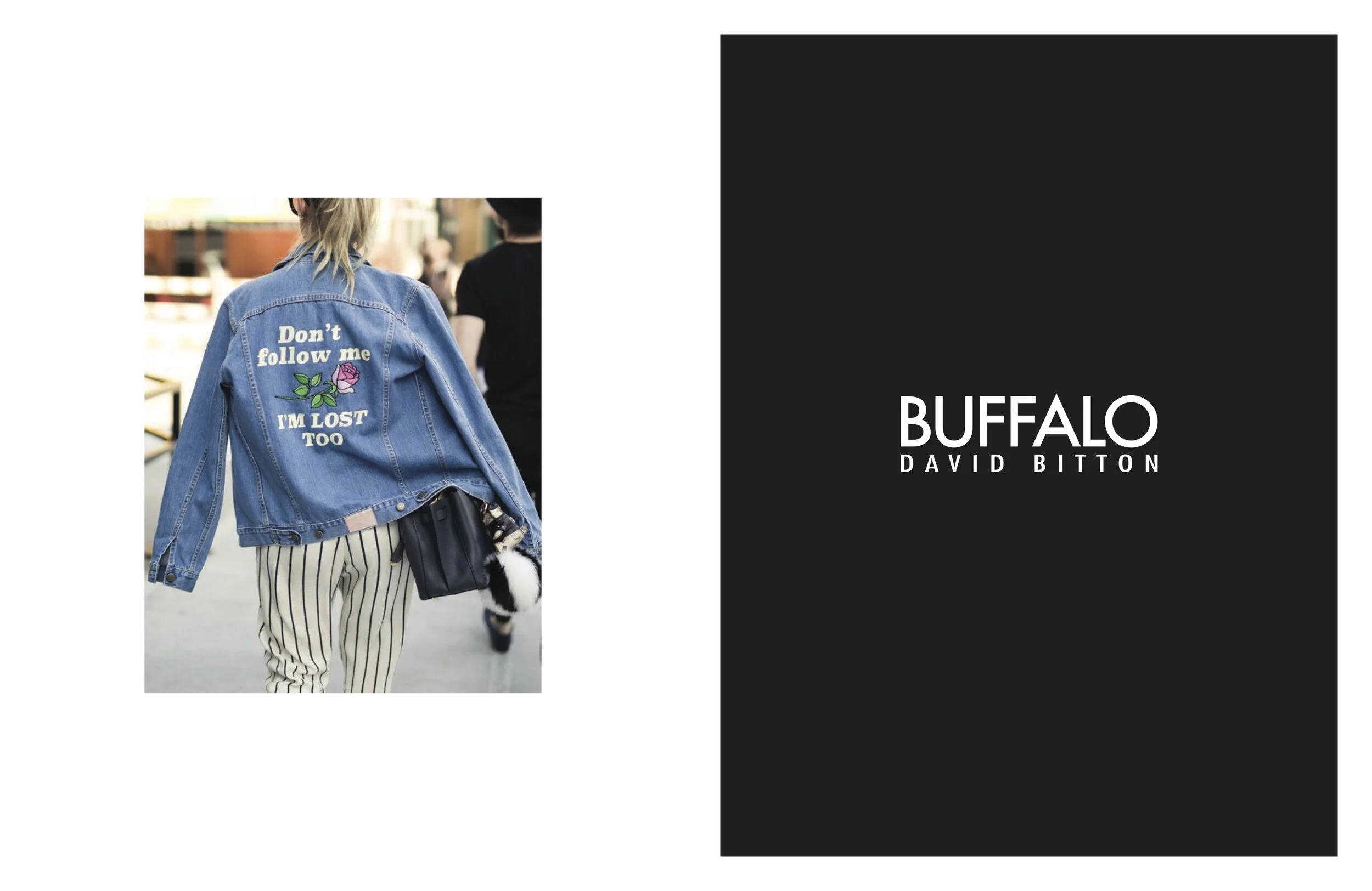 Buffalo Brand Book R4 (dragged).jpg