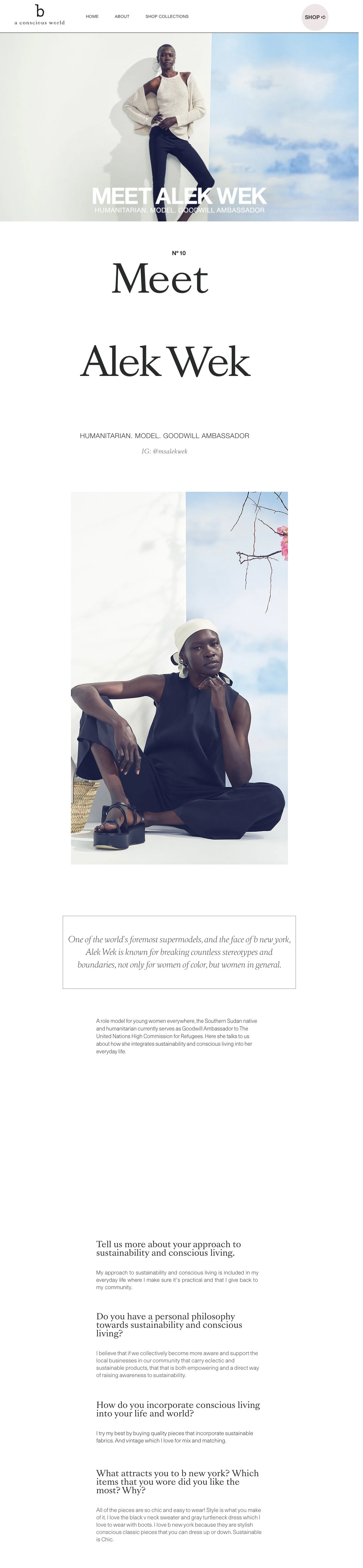 screencapture-bnewyorkbrand-magazine-project-meet-alek-wek-2021-07-13-14_49_14.jpeg