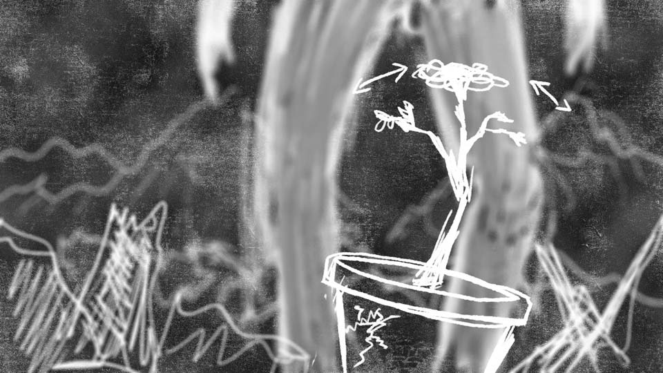 OpeningSequence_0010_shot10.jpg