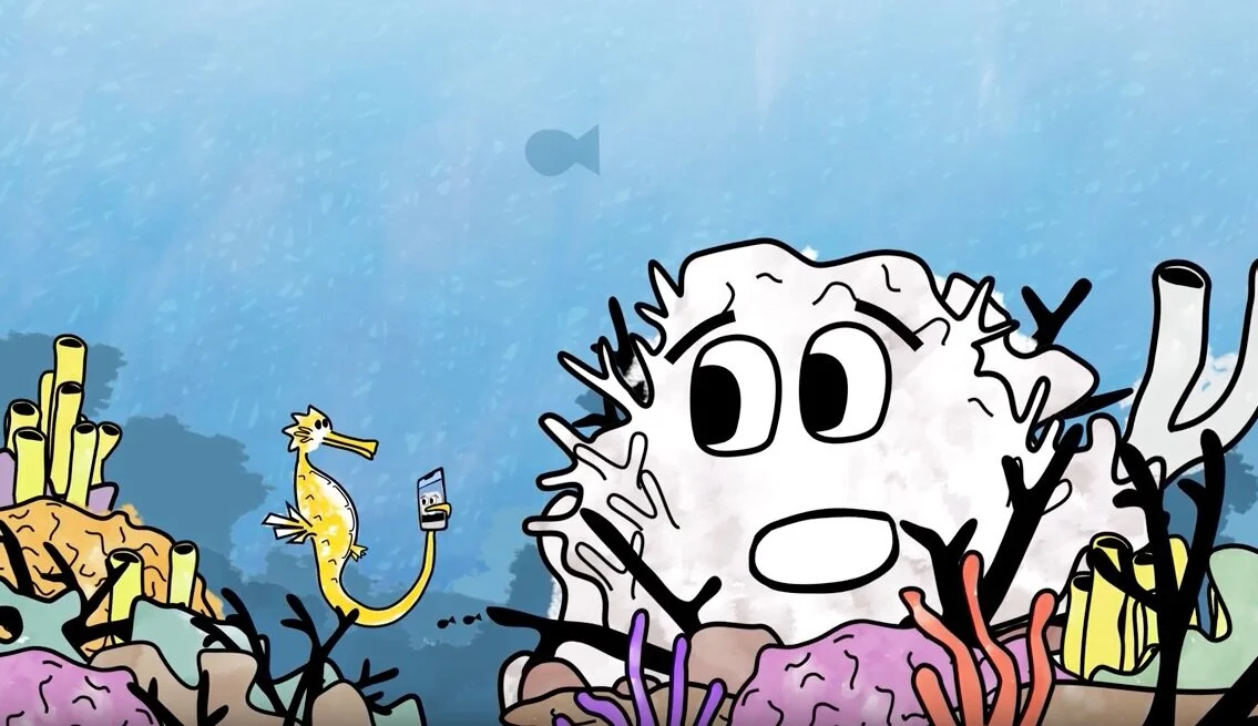 Screen Shot 2020-01-17 at 11.39.02 am.jpeg