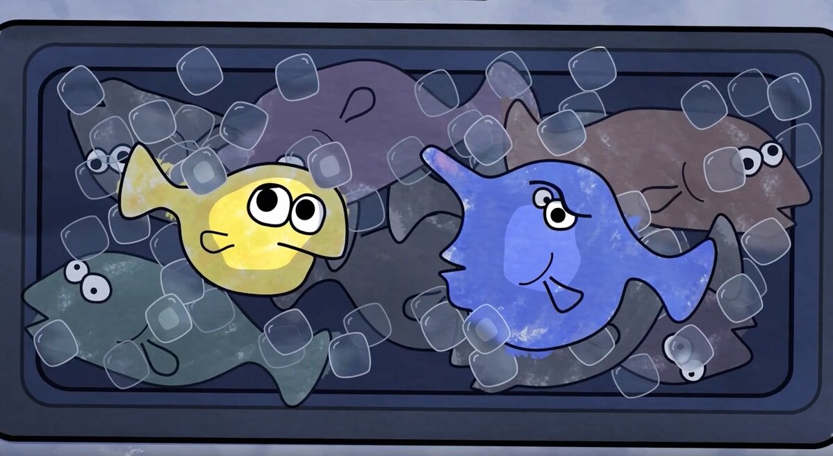 Screen Shot 2020-01-17 at 11.39.52 am.jpeg