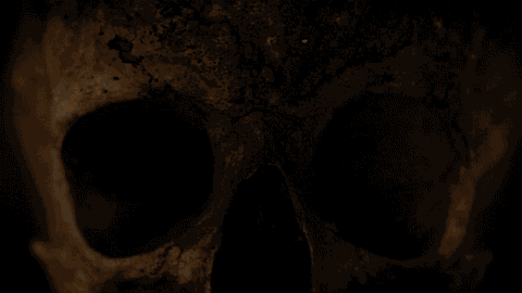 crossbones-4.gif