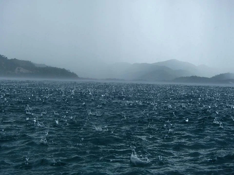 Short Written Pieces Inspired by Jim Rohn Quotes