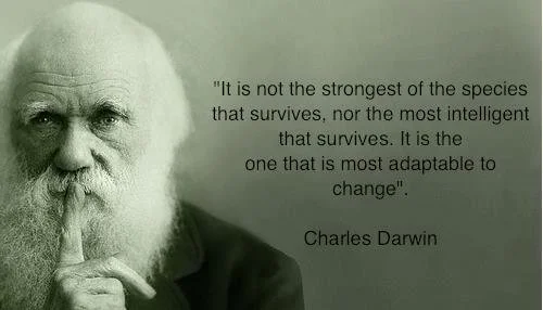 HOW TO KICKSTART A HIGH PERFORMANCE YEAR - CHAPTER 5