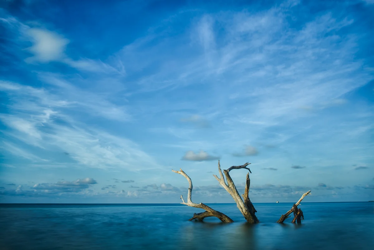 RF3_6306-Edit-Edit-2.jpg